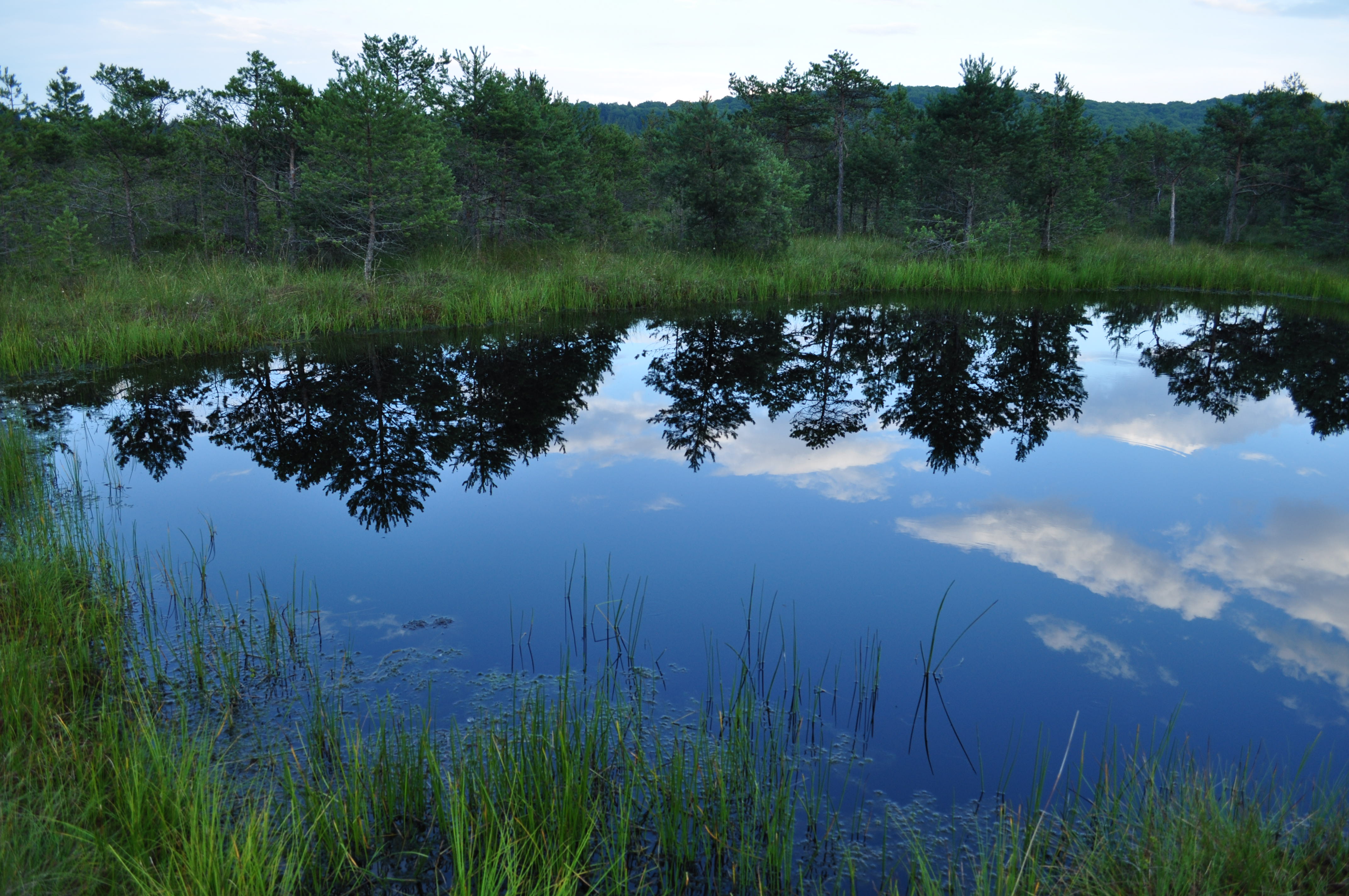 Tinovul Mohos - Mohos tőzegláp