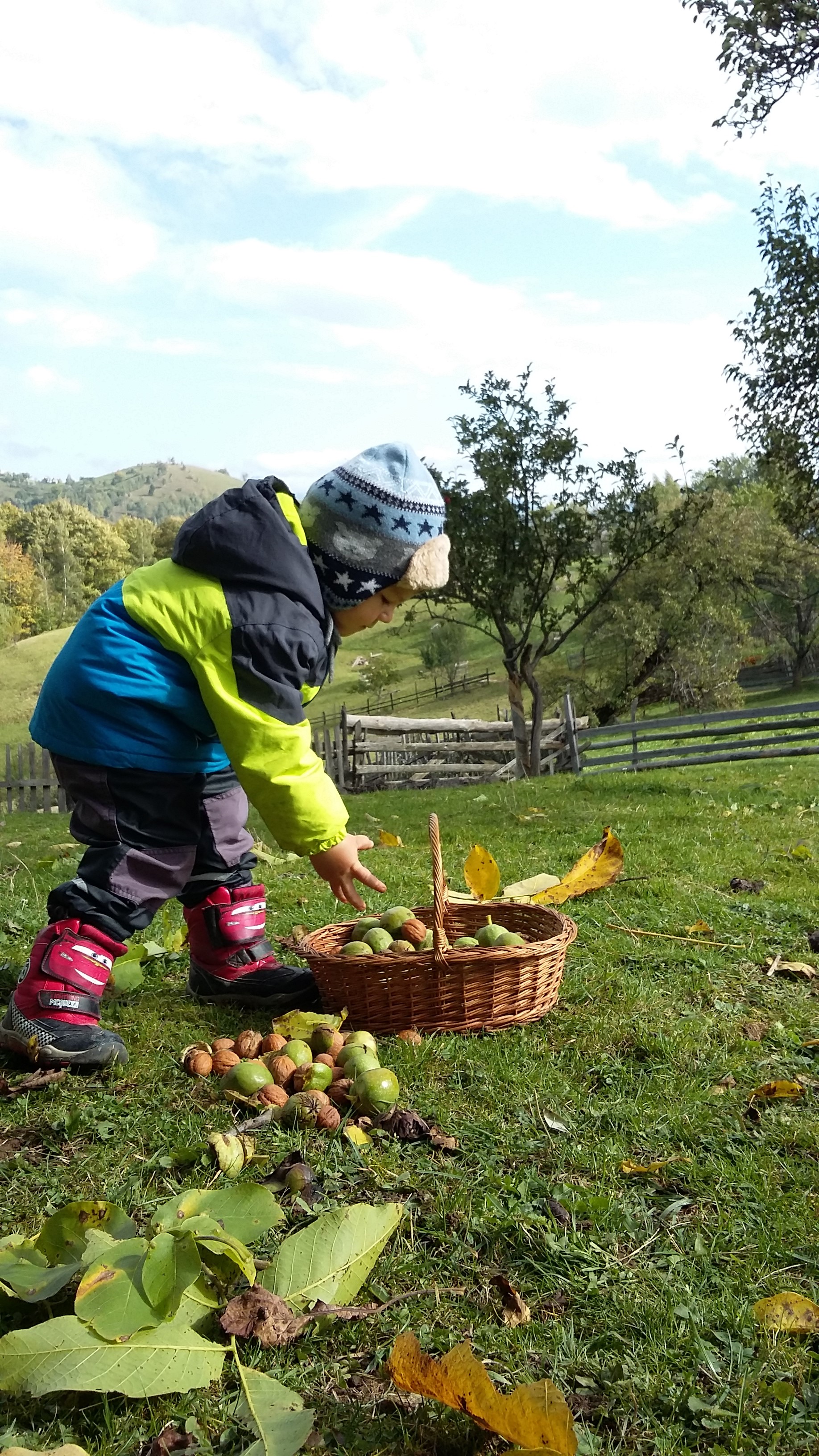 poze nicoleta 443.jpg