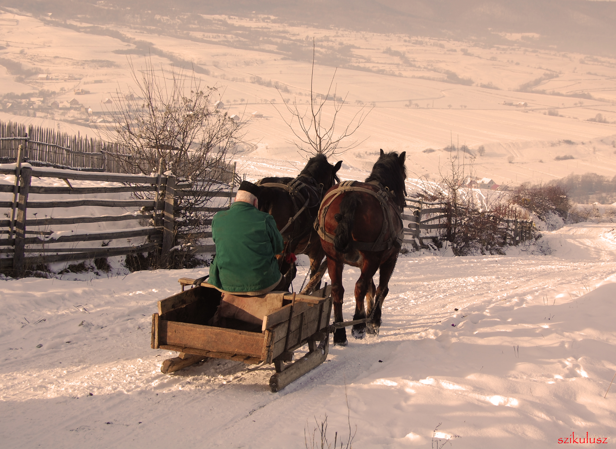 AZetelakaSzános fogat.jpg
