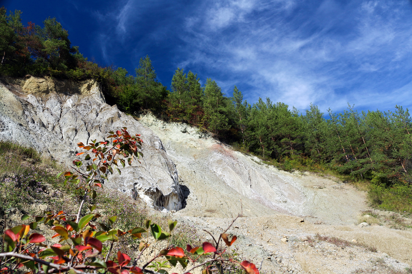 B_Sobol nott elet.jpg