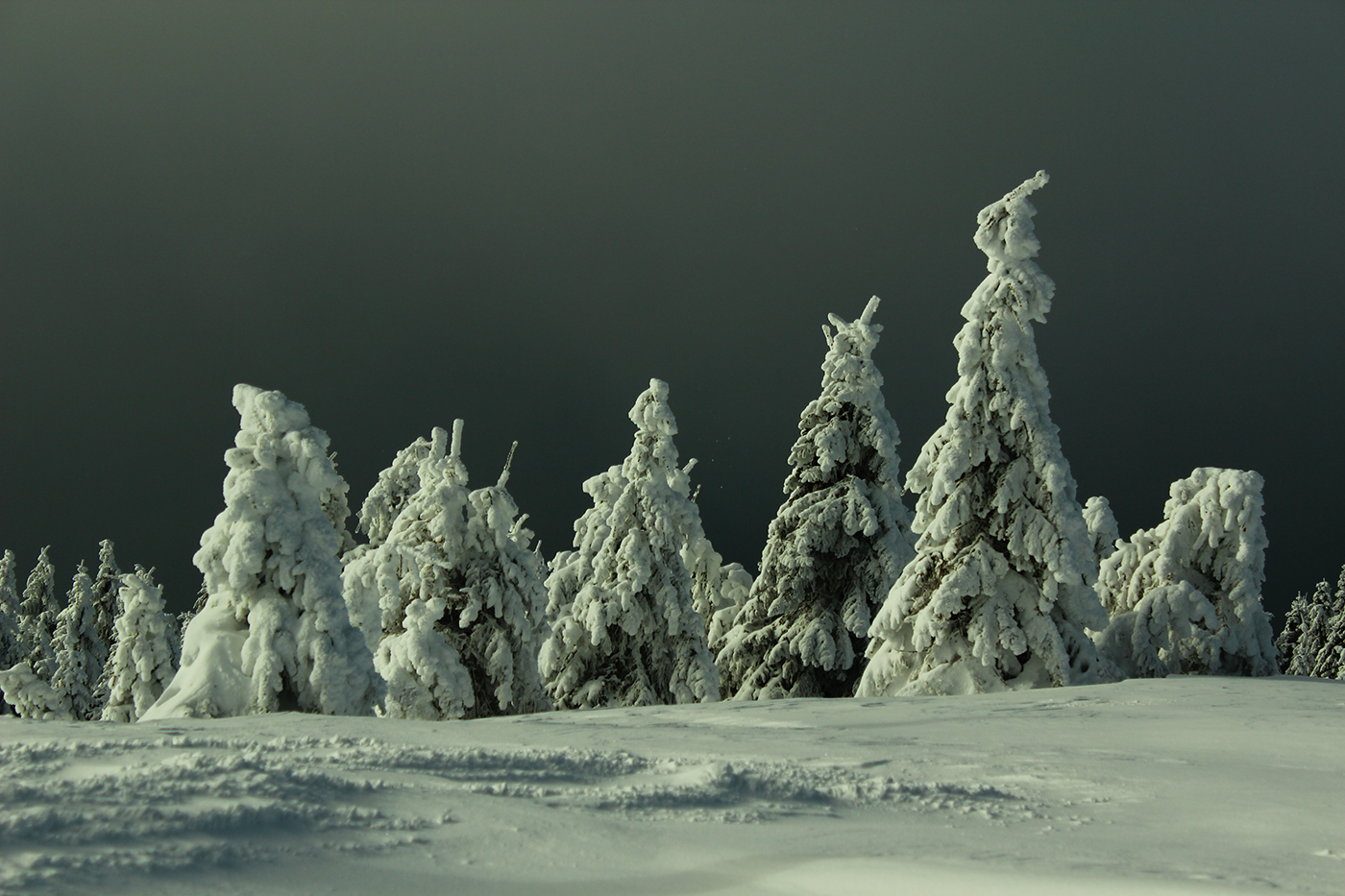 B-Tel a Hargitan.jpg