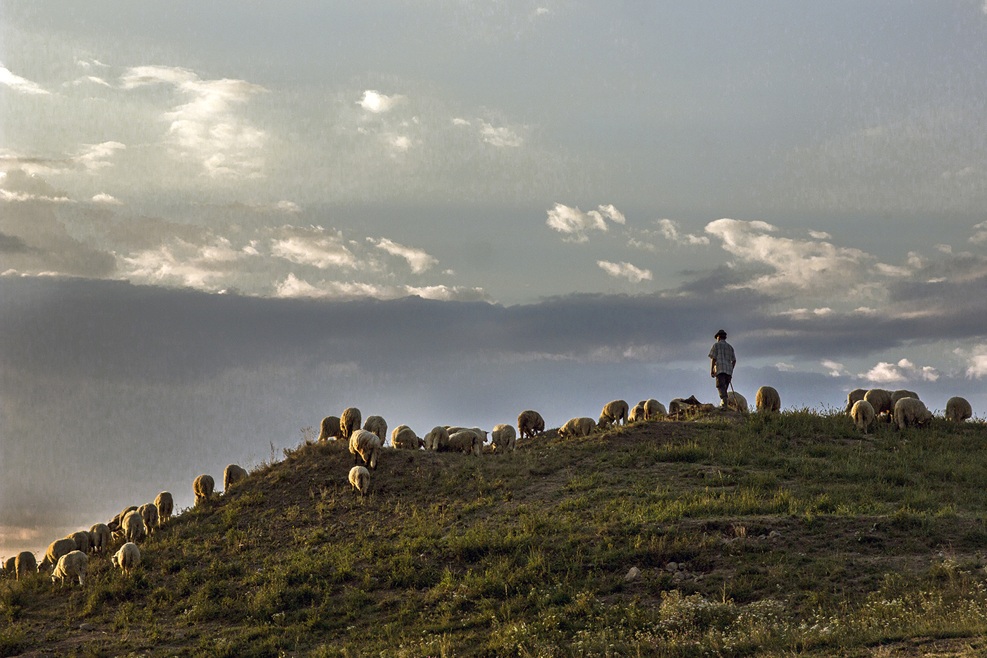 C-MAGASLATI LEGELÉS.jpg