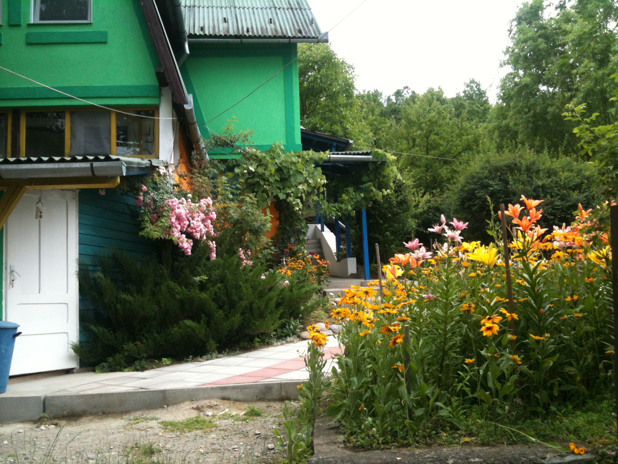 fotok..telefon 2015.szept 051.JPG