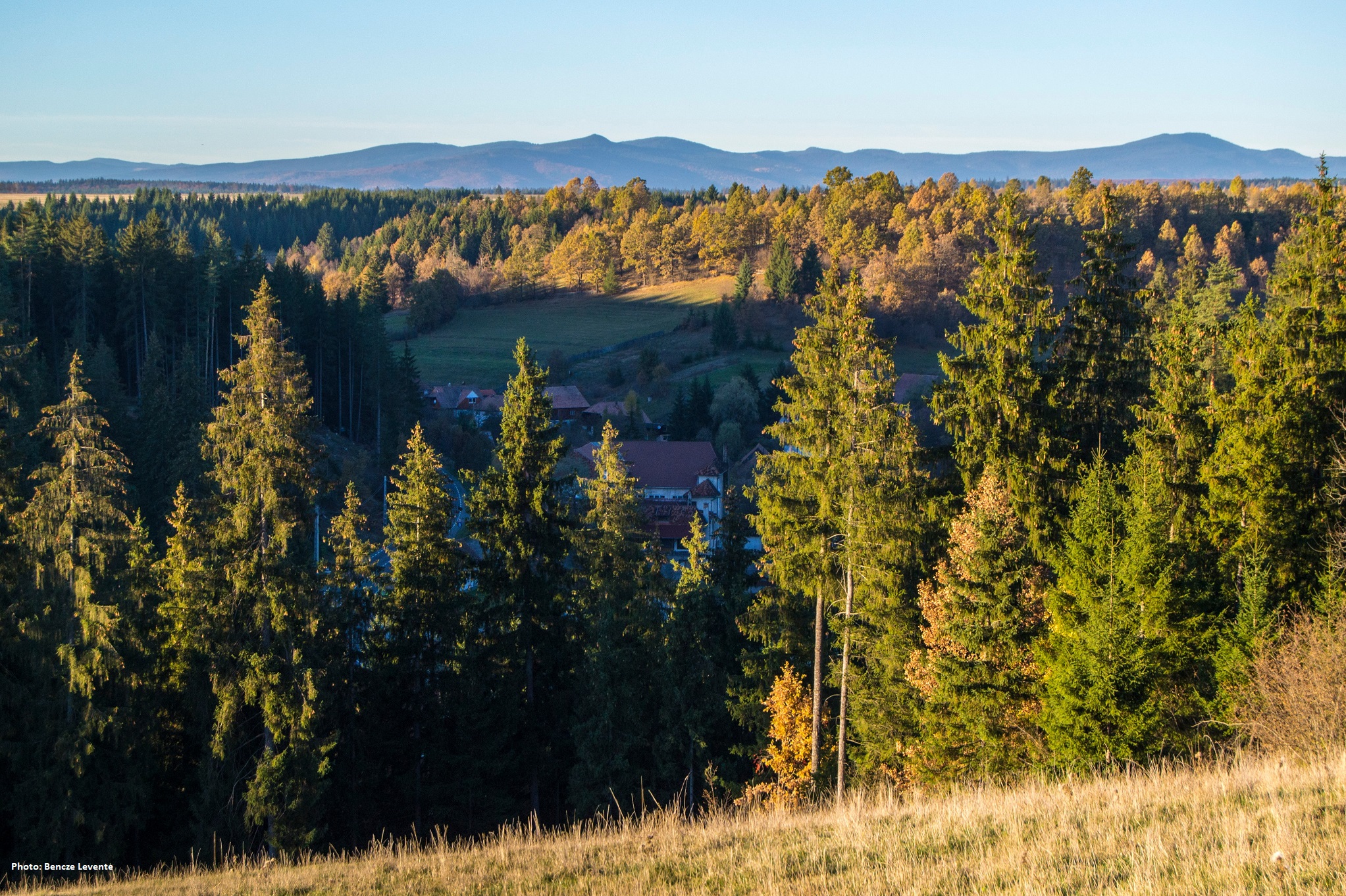 Homoródfürdő völgye.jpg