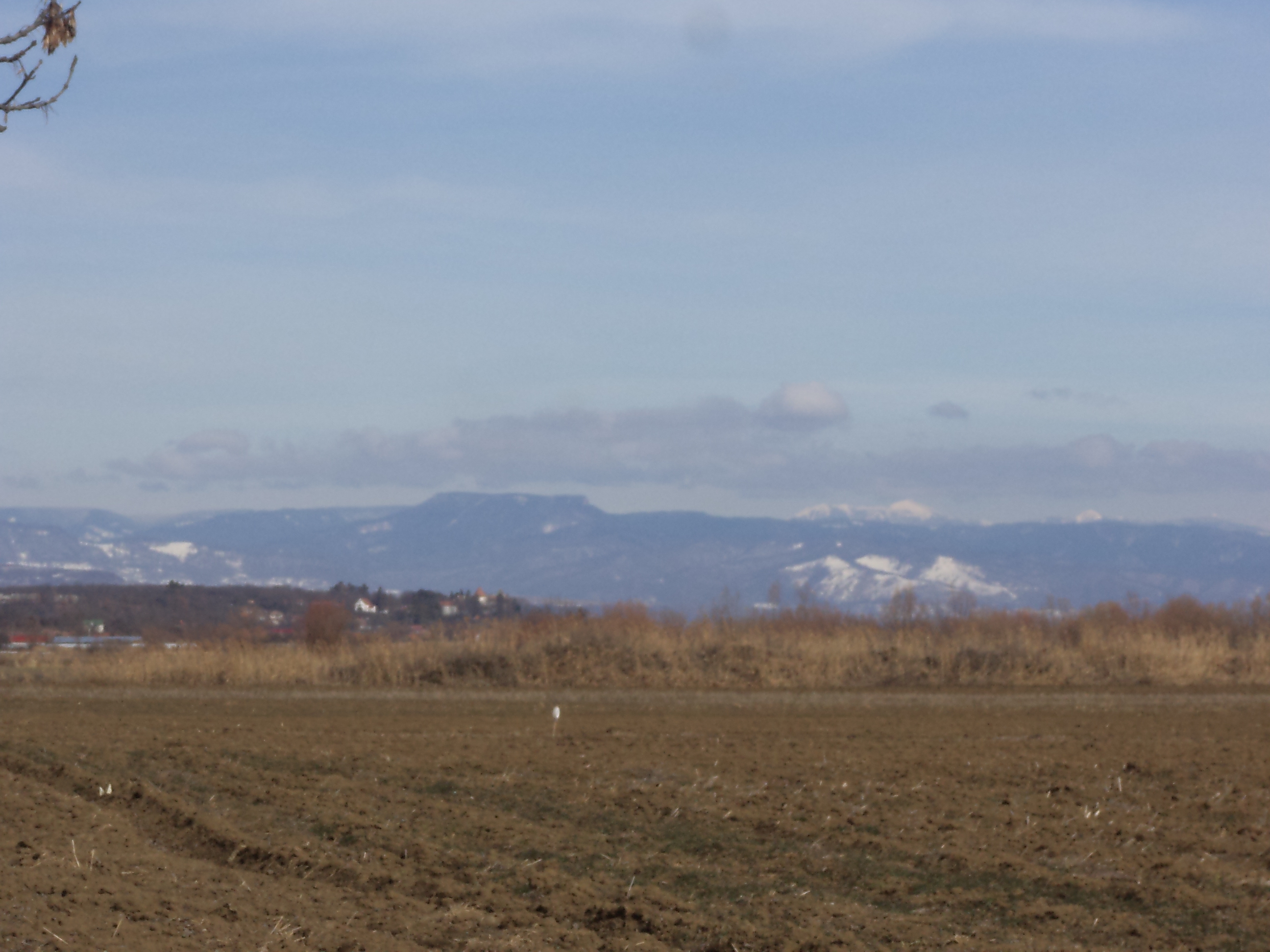 DSC05729.JPG